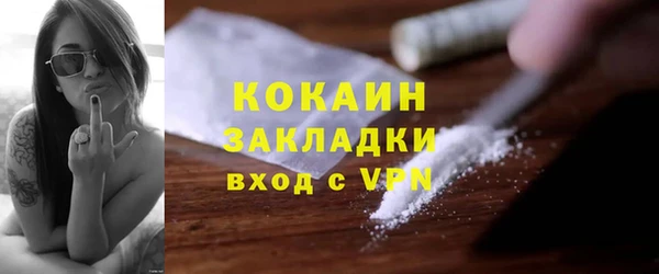 тгк Няндома